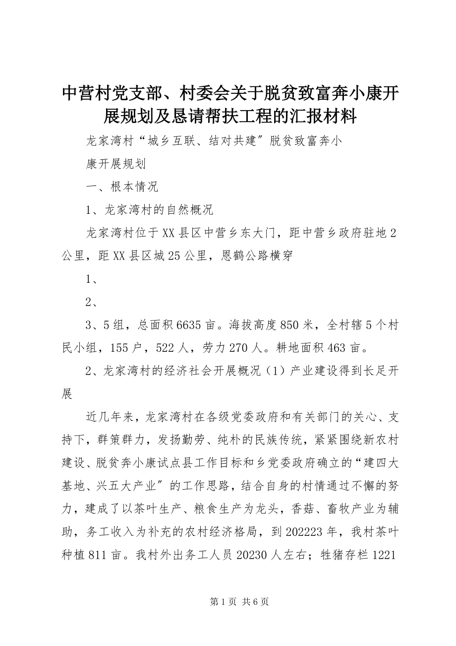 2023年中营村党支部村委会关于脱贫致富奔小康发展规划及恳请帮扶项目的汇报材料.docx_第1页