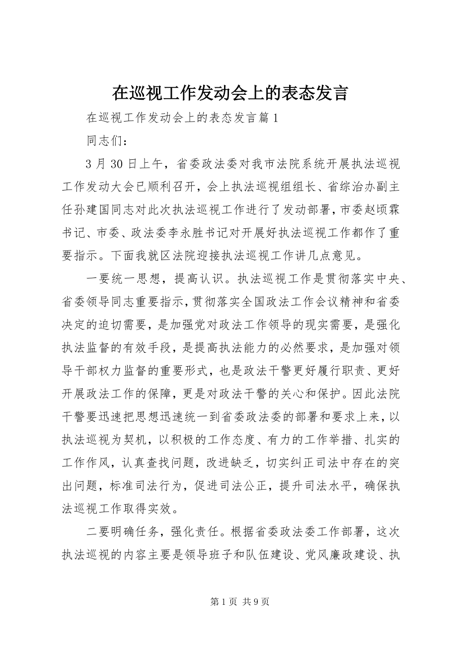 2023年在巡视工作动员会上的表态讲话.docx_第1页