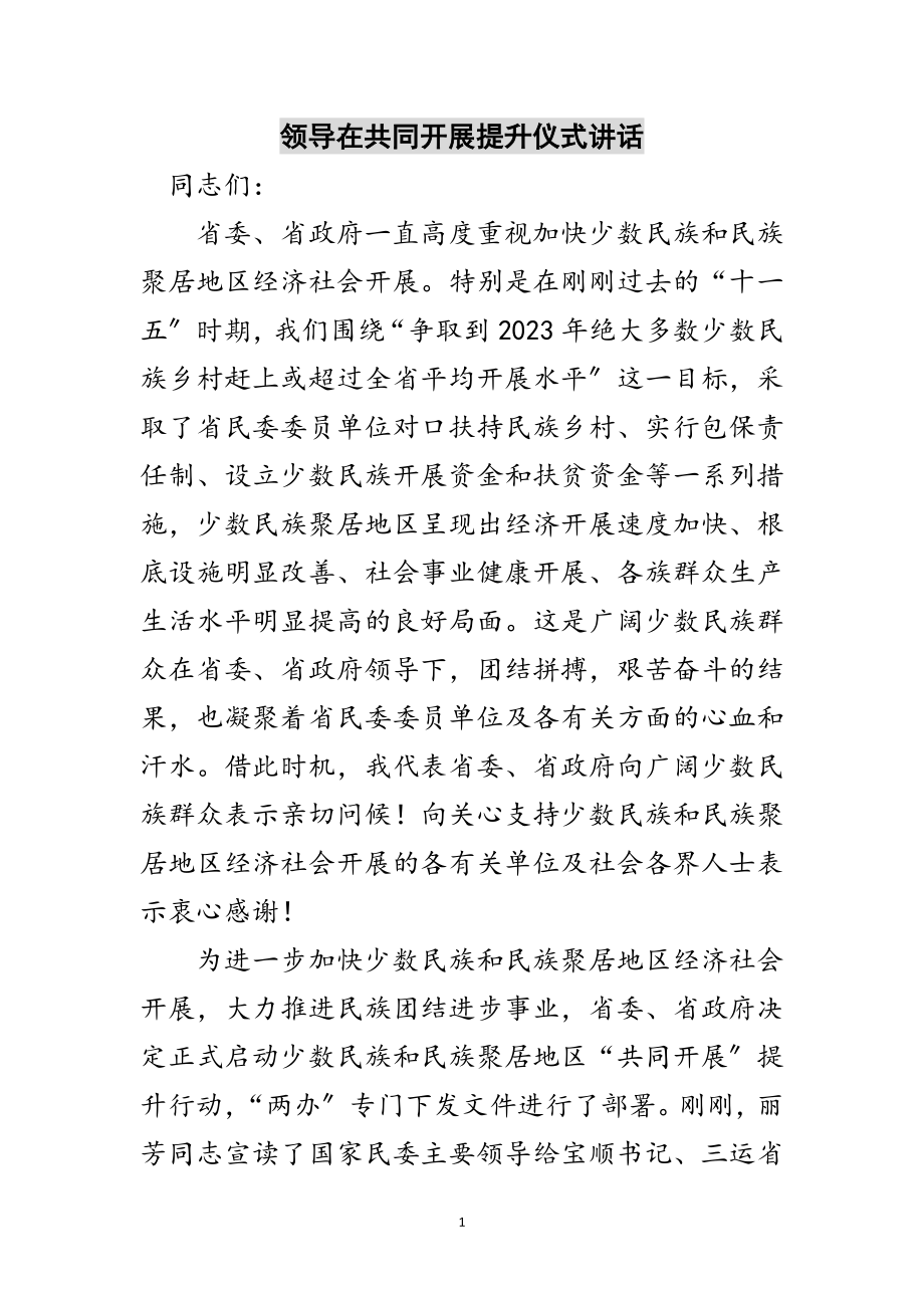 2023年领导在共同发展提升仪式讲话范文.doc_第1页