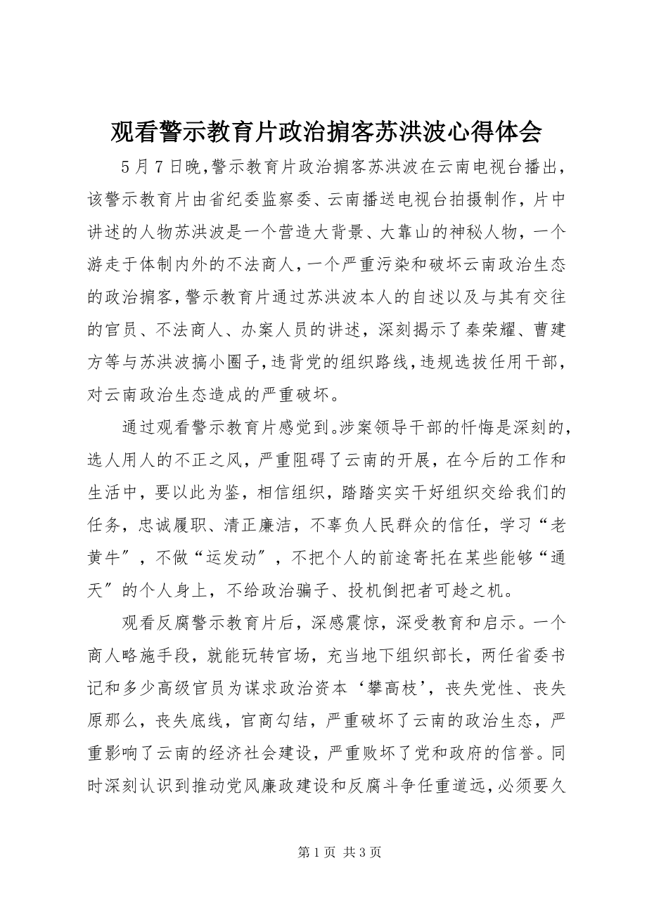 2023年观看警示教育片《政治掮客苏洪波》心得体会.docx_第1页