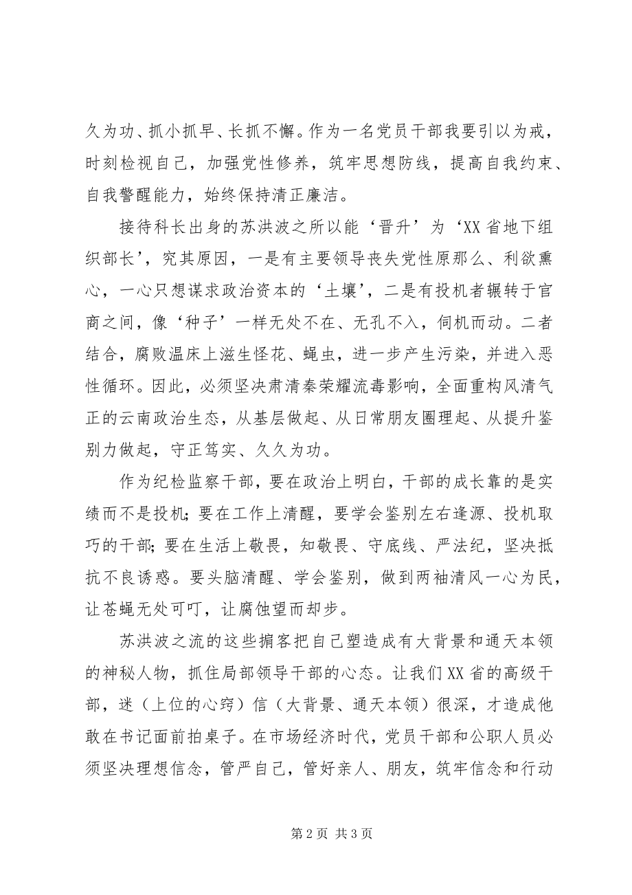 2023年观看警示教育片《政治掮客苏洪波》心得体会.docx_第2页