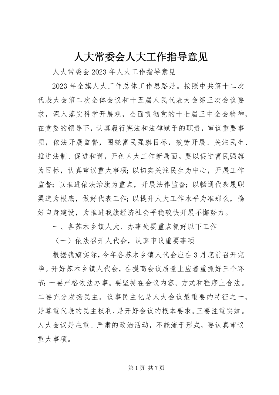 2023年人大常委会人大工作指导意见.docx_第1页