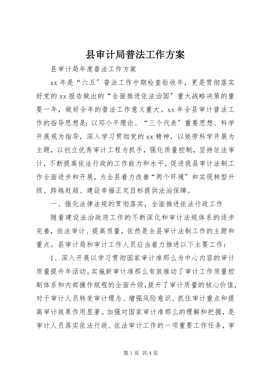 2023年县审计局普法工作计划.docx_第1页