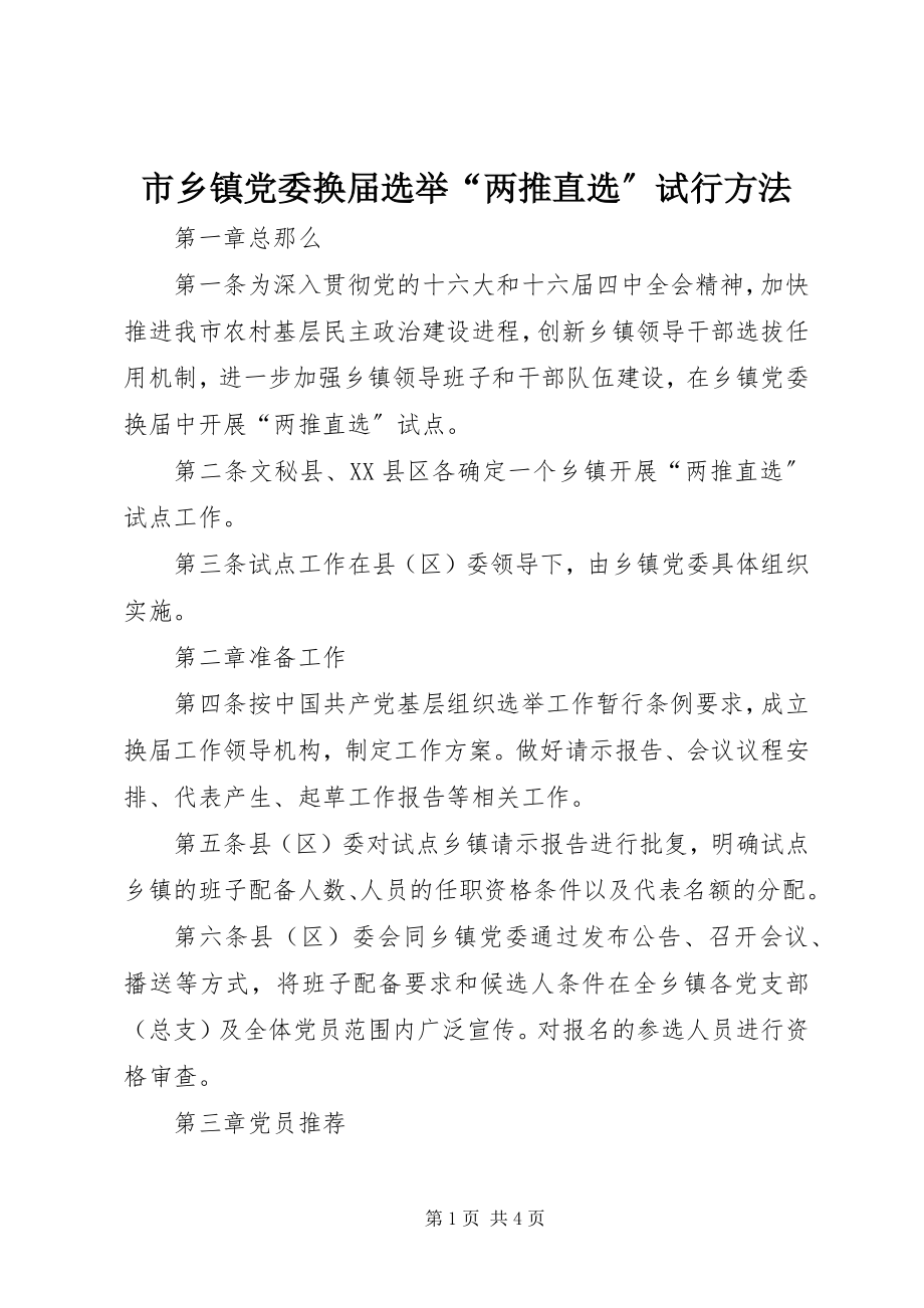 2023年市乡镇党委换届选举“两推直选”试行办法.docx_第1页