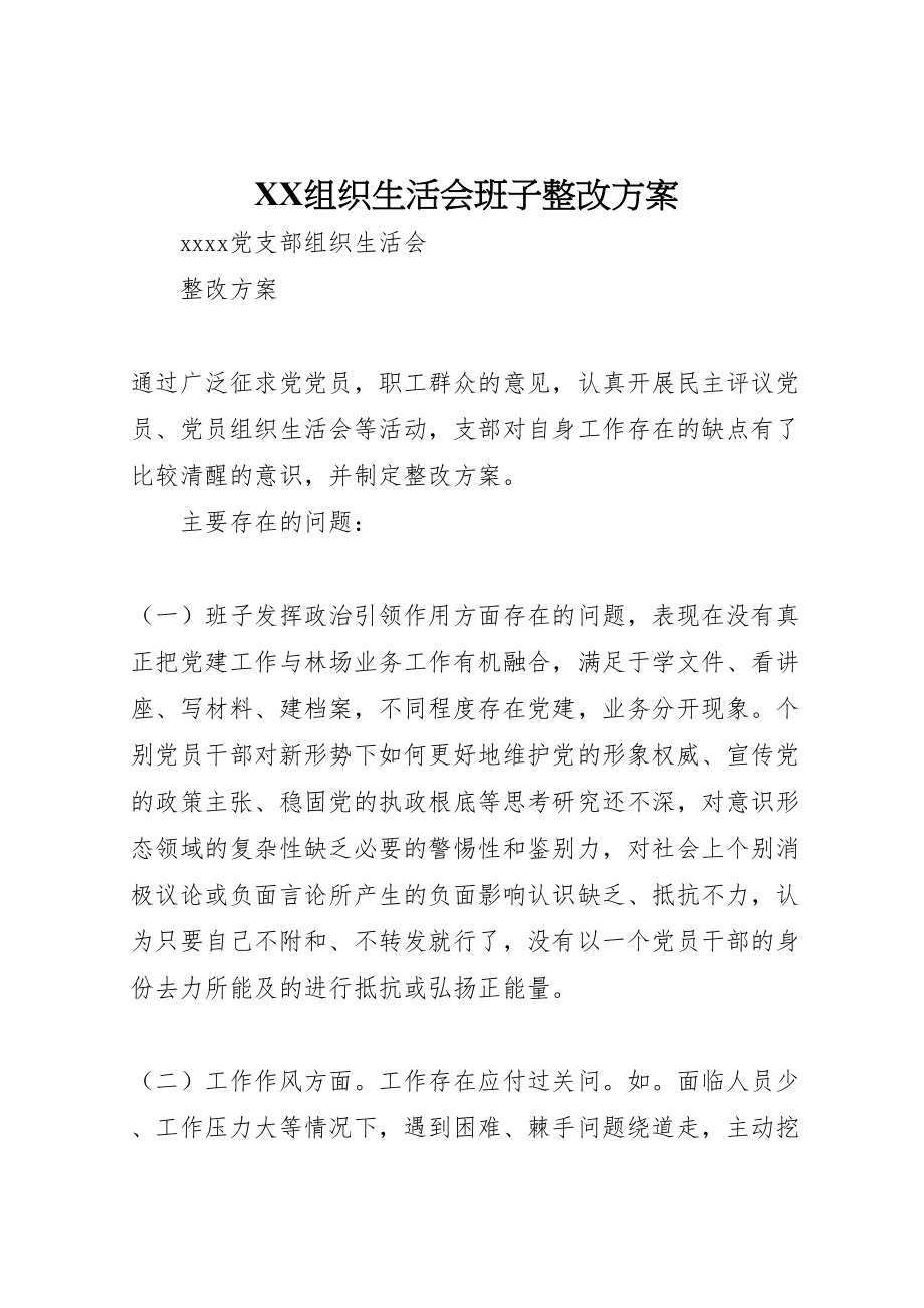 2023年组织生活会班子整改方案.doc_第1页