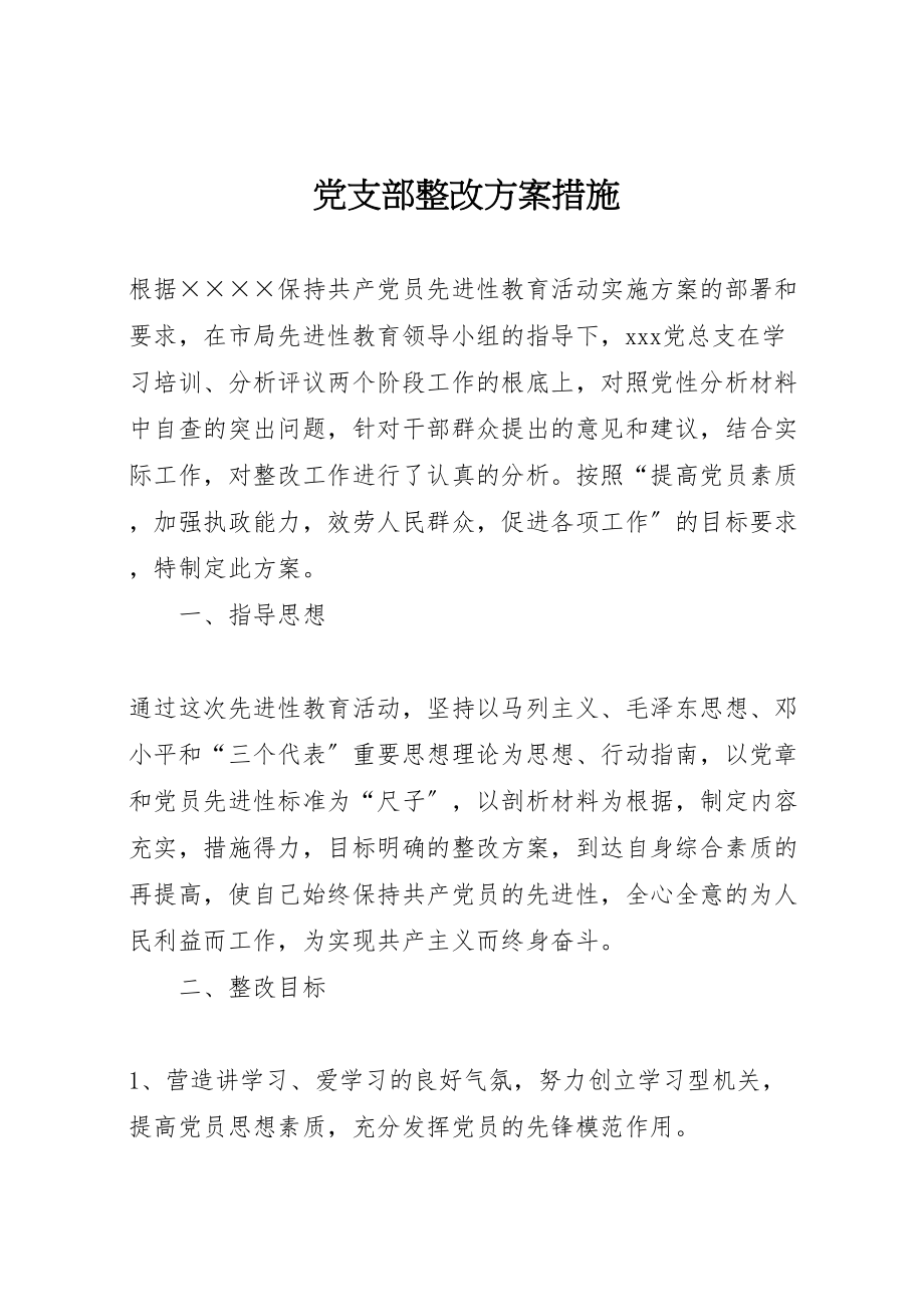 2023年党支部整改方案措施 2.doc_第1页