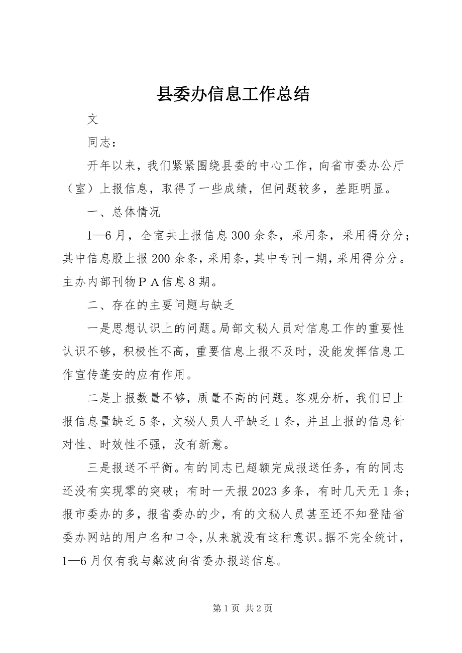 2023年县委办信息工作总结.docx_第1页