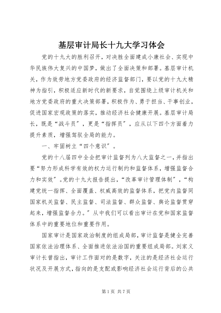 2023年基层审计局长十九大学习体会.docx_第1页