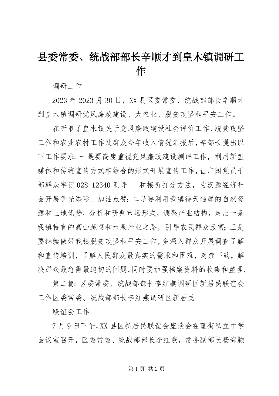 2023年县委常委统战部部长辛顺才到皇木镇调研工作.docx_第1页