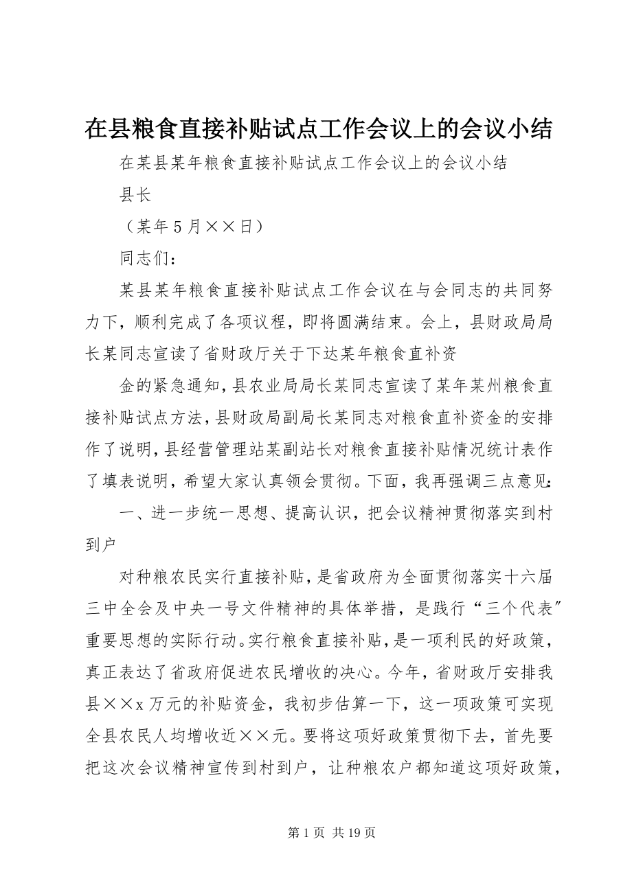 2023年在县粮食直接补贴试点工作会议上的会议小结.docx_第1页