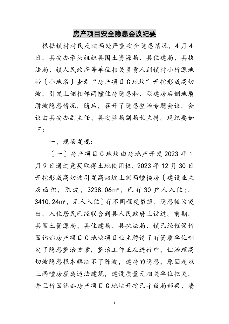 2023年房产项目安全隐患会议纪要范文.doc_第1页