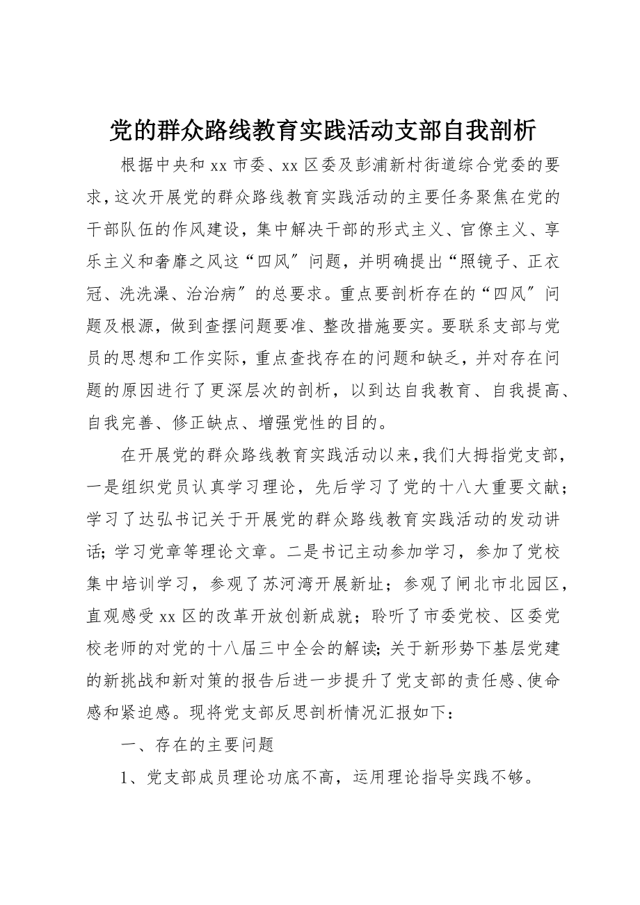 2023年党的群众路线教育实践活动支部自我剖析.docx_第1页