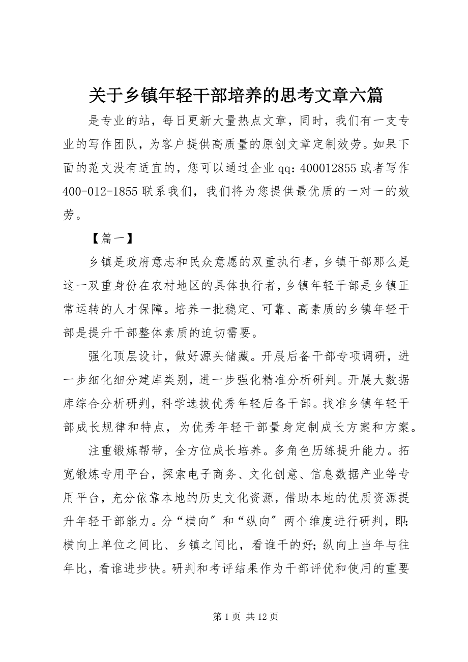 2023年乡镇轻干部培养的思考文章六篇.docx_第1页