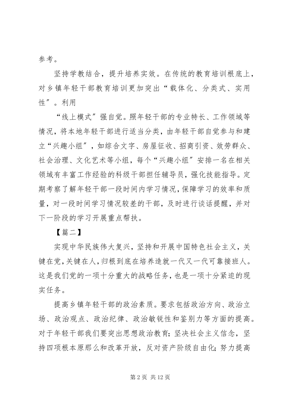 2023年乡镇轻干部培养的思考文章六篇.docx_第2页