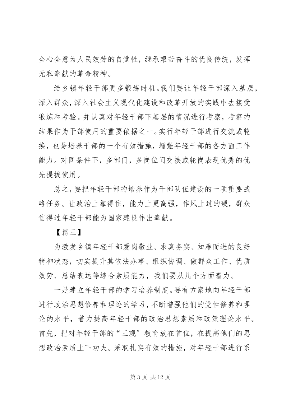 2023年乡镇轻干部培养的思考文章六篇.docx_第3页