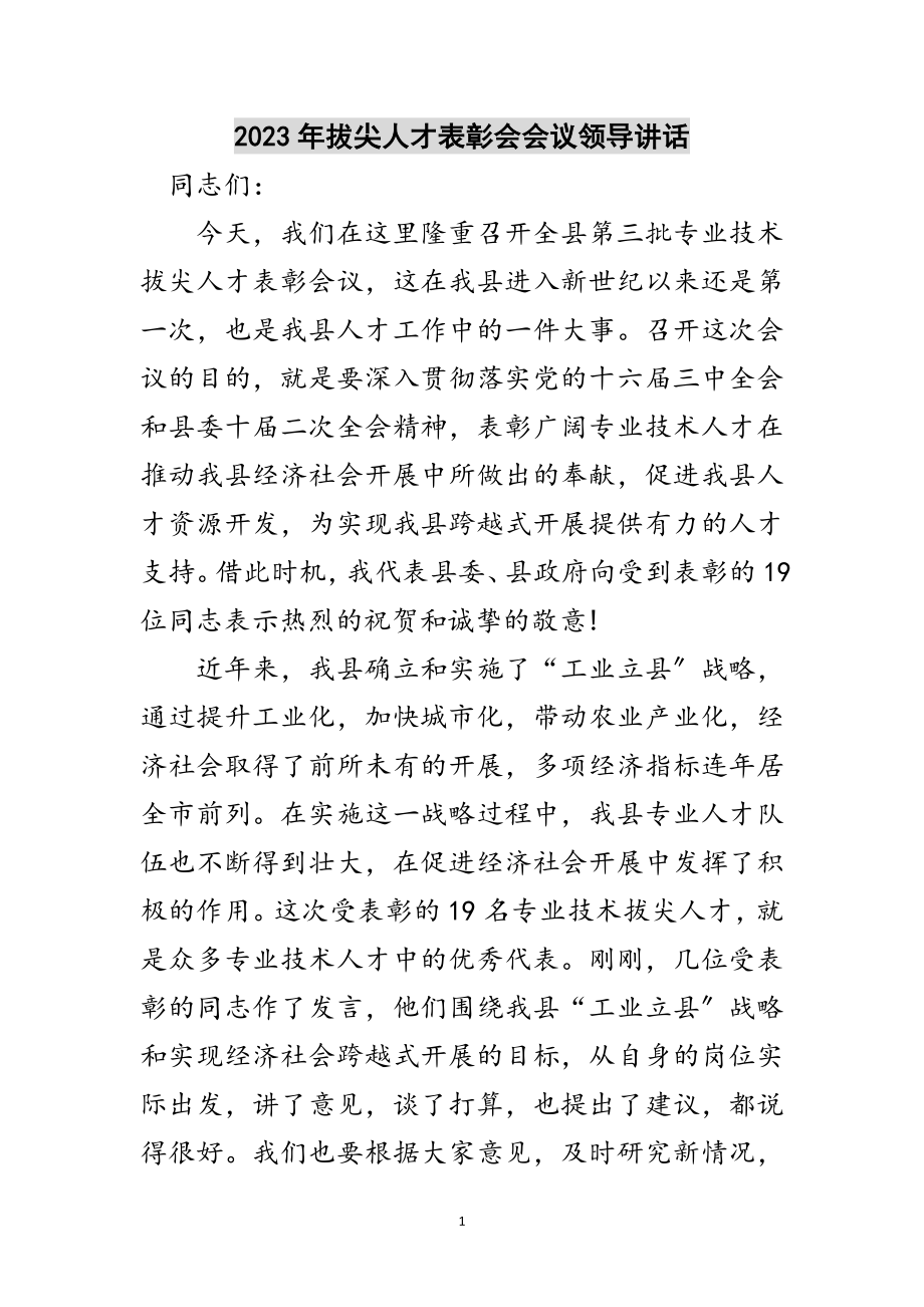 2023年年拔尖人才表彰会会议领导讲话范文.doc_第1页