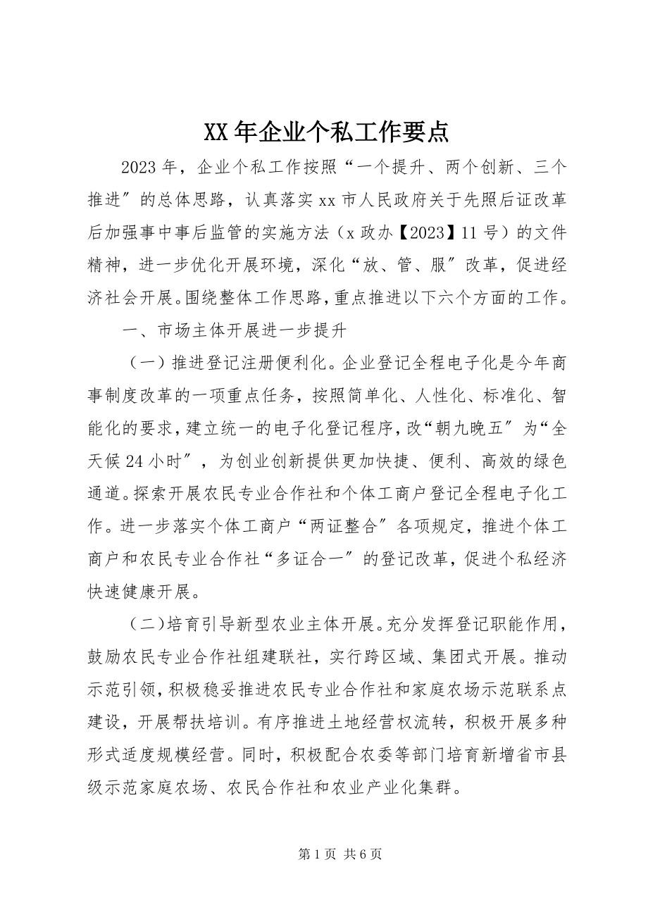 2023年企业个私工作要点.docx_第1页