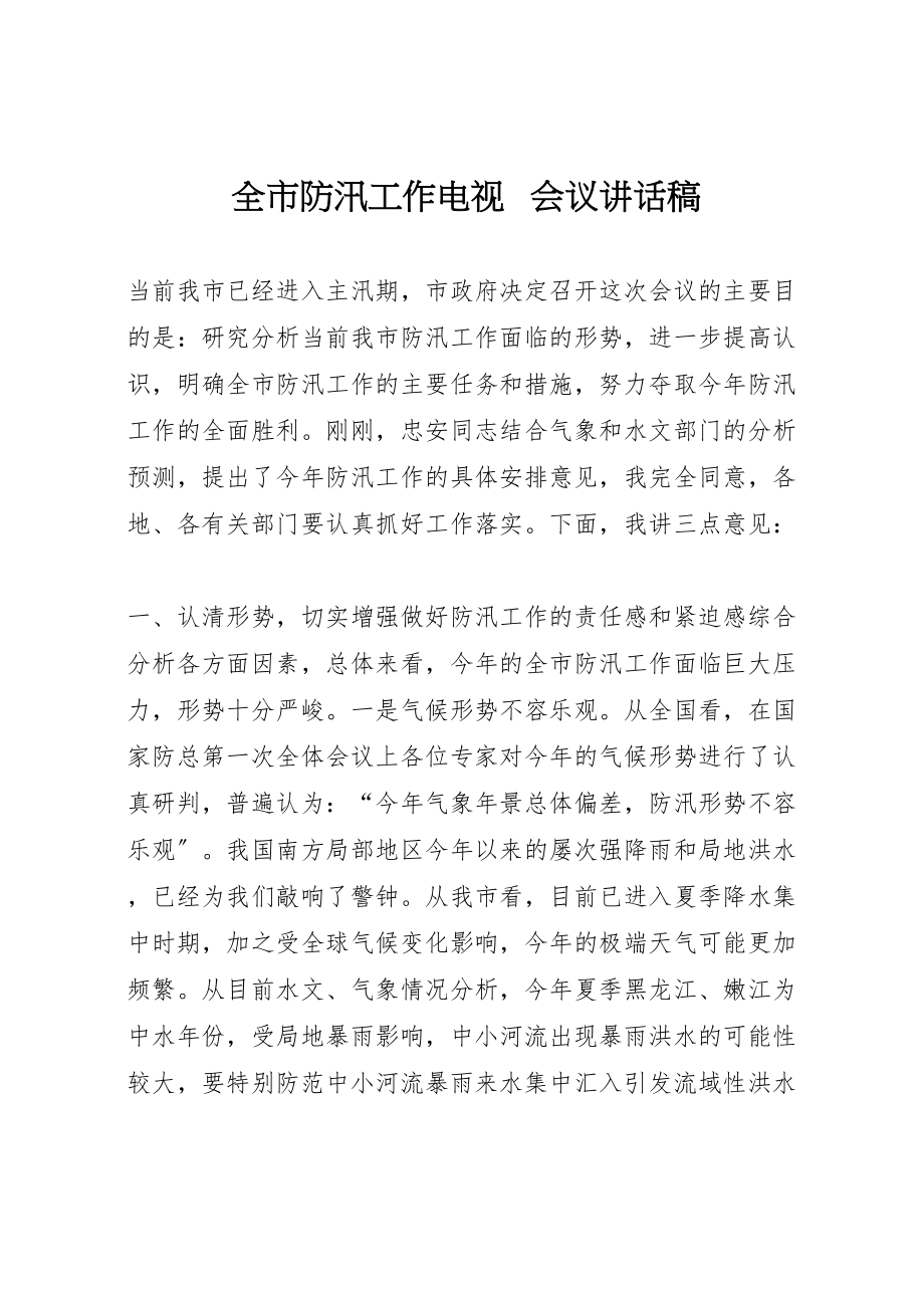 2023年全市防汛工作电视电话会议致辞稿.doc_第1页