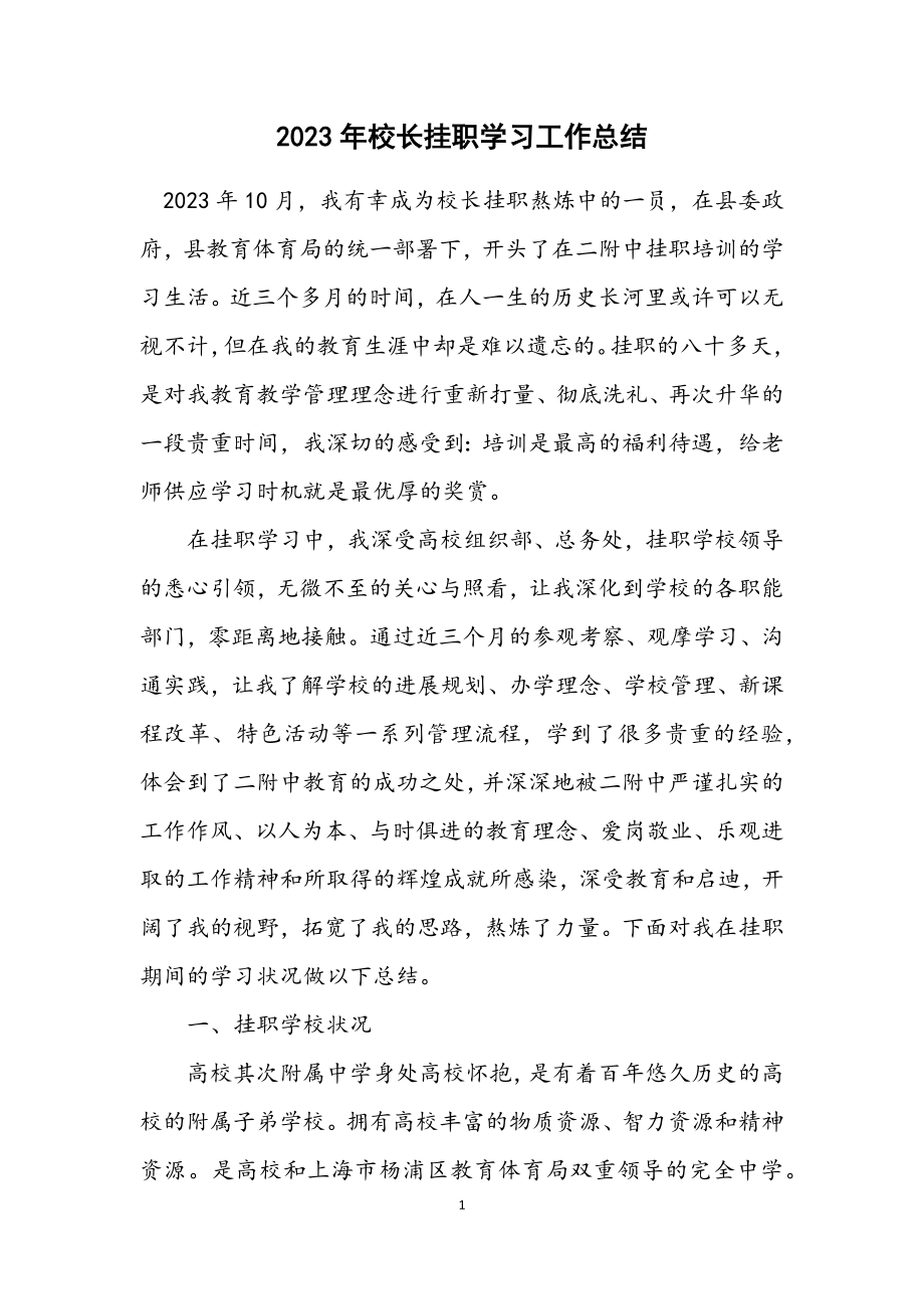 2023年校长挂职学习工作总结.docx_第1页