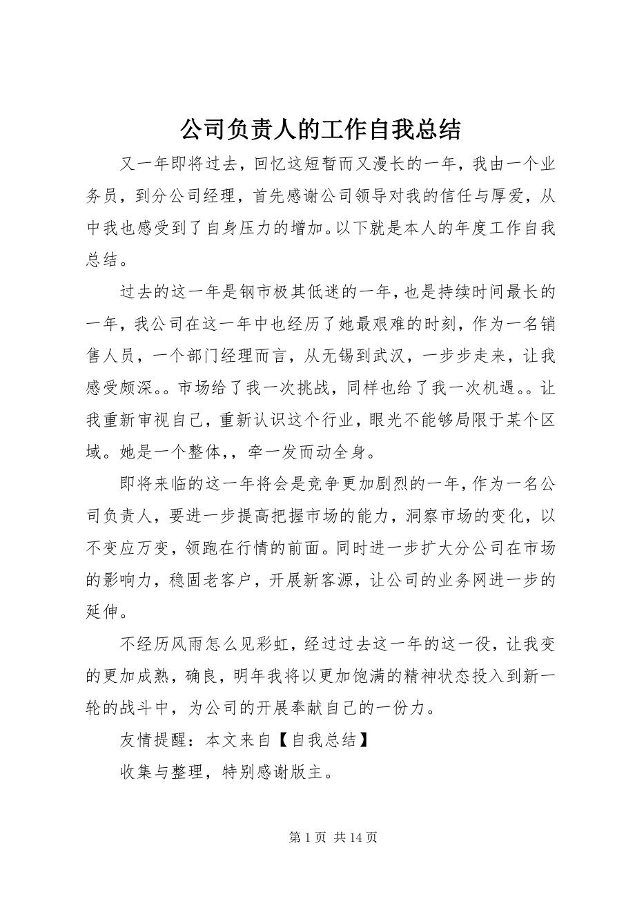 2023年公司负责人的工作自我总结.docx_第1页