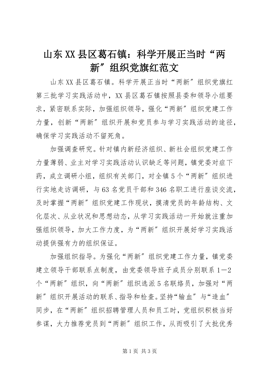 2023年山东XX县区葛石镇科学发展正当时“两新”组织党旗红.docx_第1页