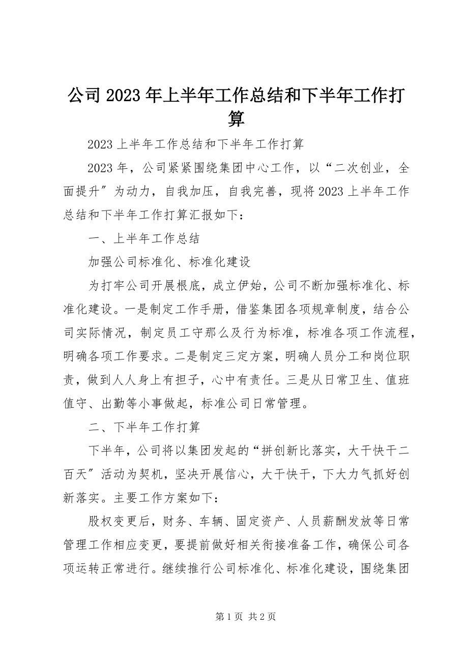 2023年公司某年上半年工作总结和下半年工作打算.docx_第1页