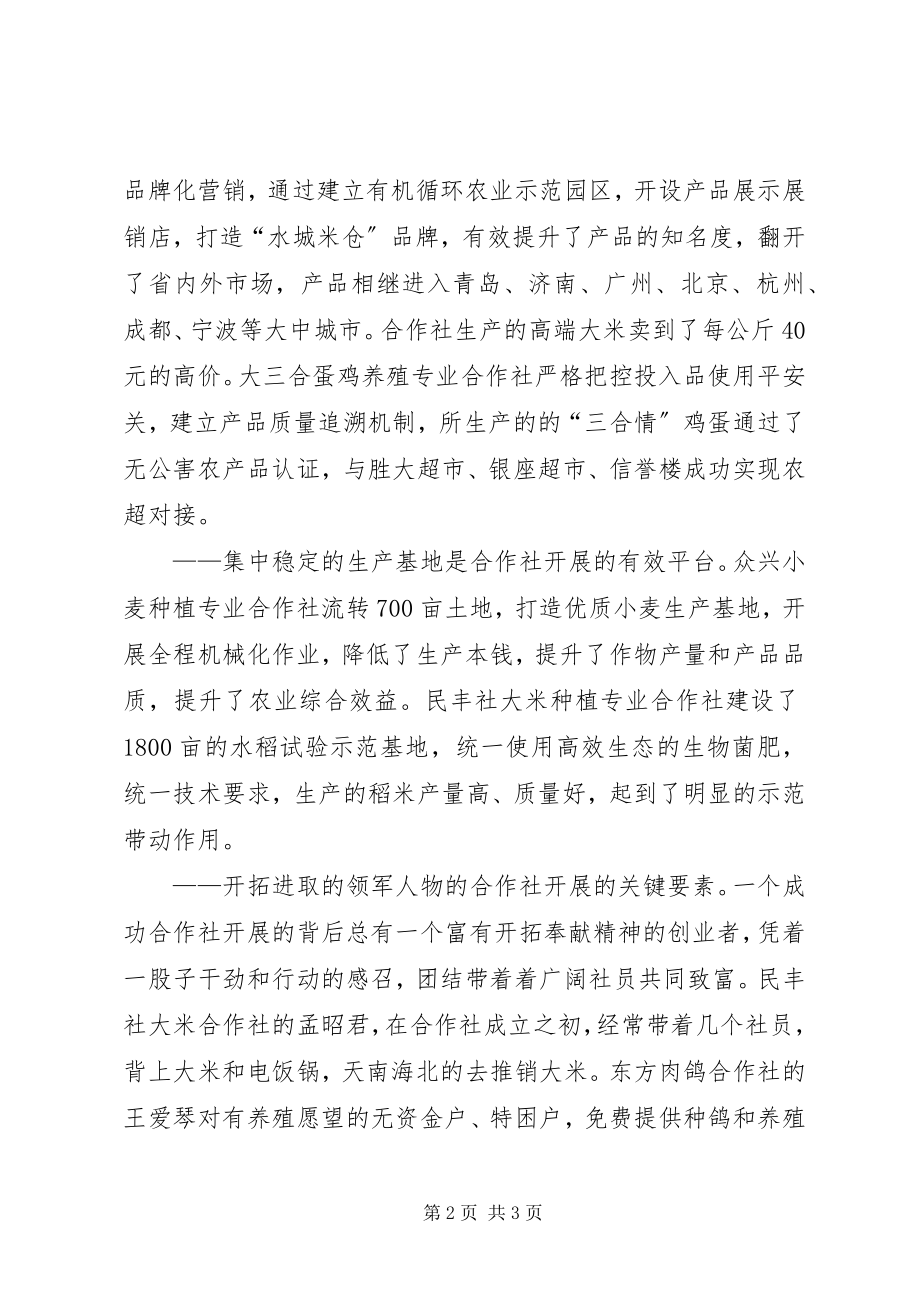 2023年我县发展农民专业合作社经验材料.docx_第2页