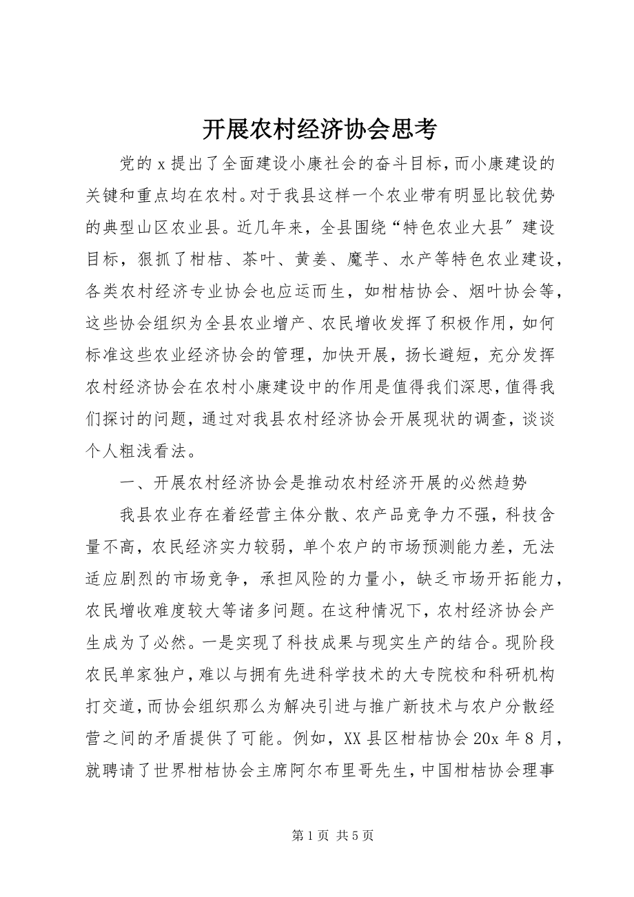 2023年发展农村经济协会思考.docx_第1页