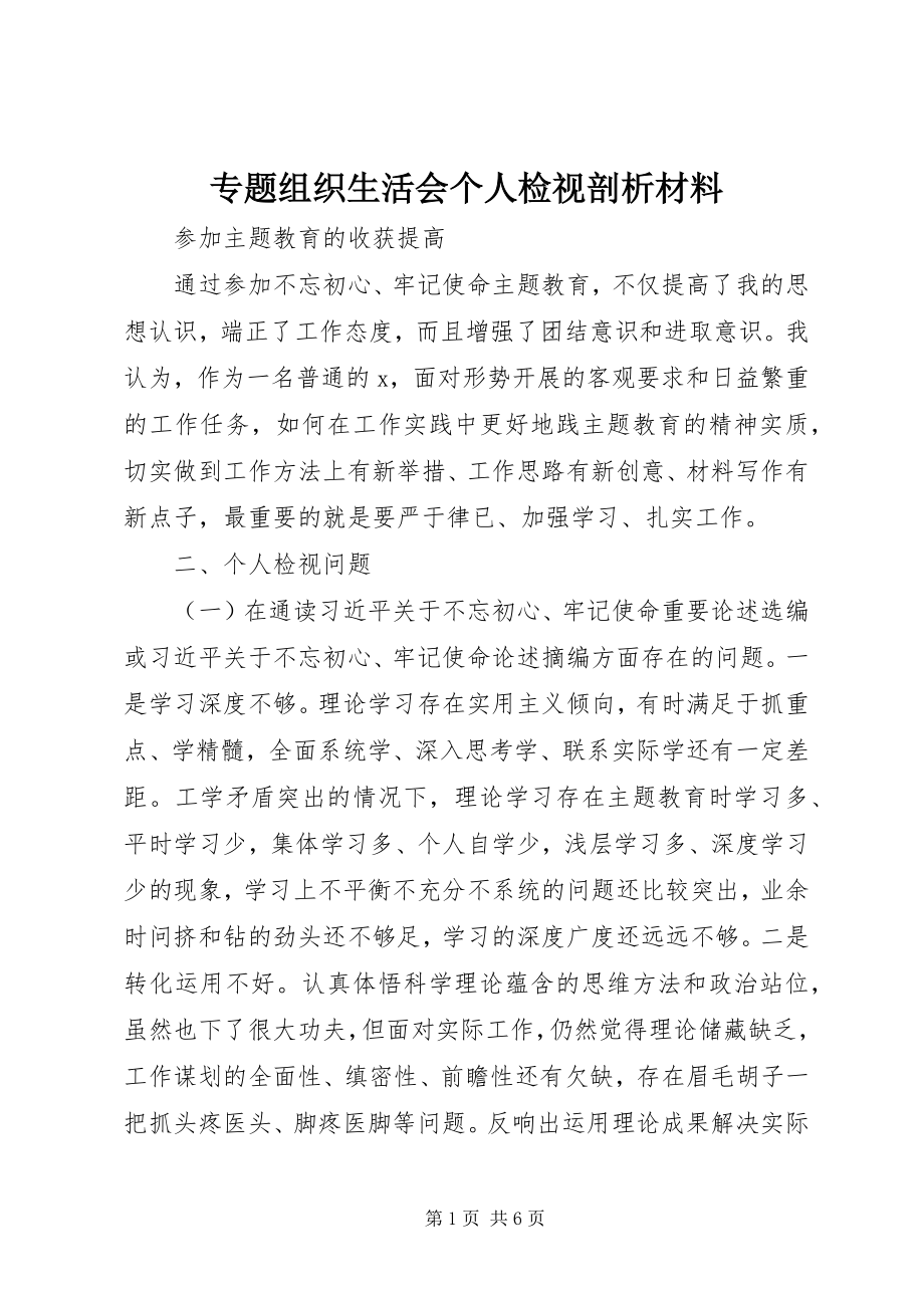 2023年专题组织生活会个人检视剖析材料.docx_第1页