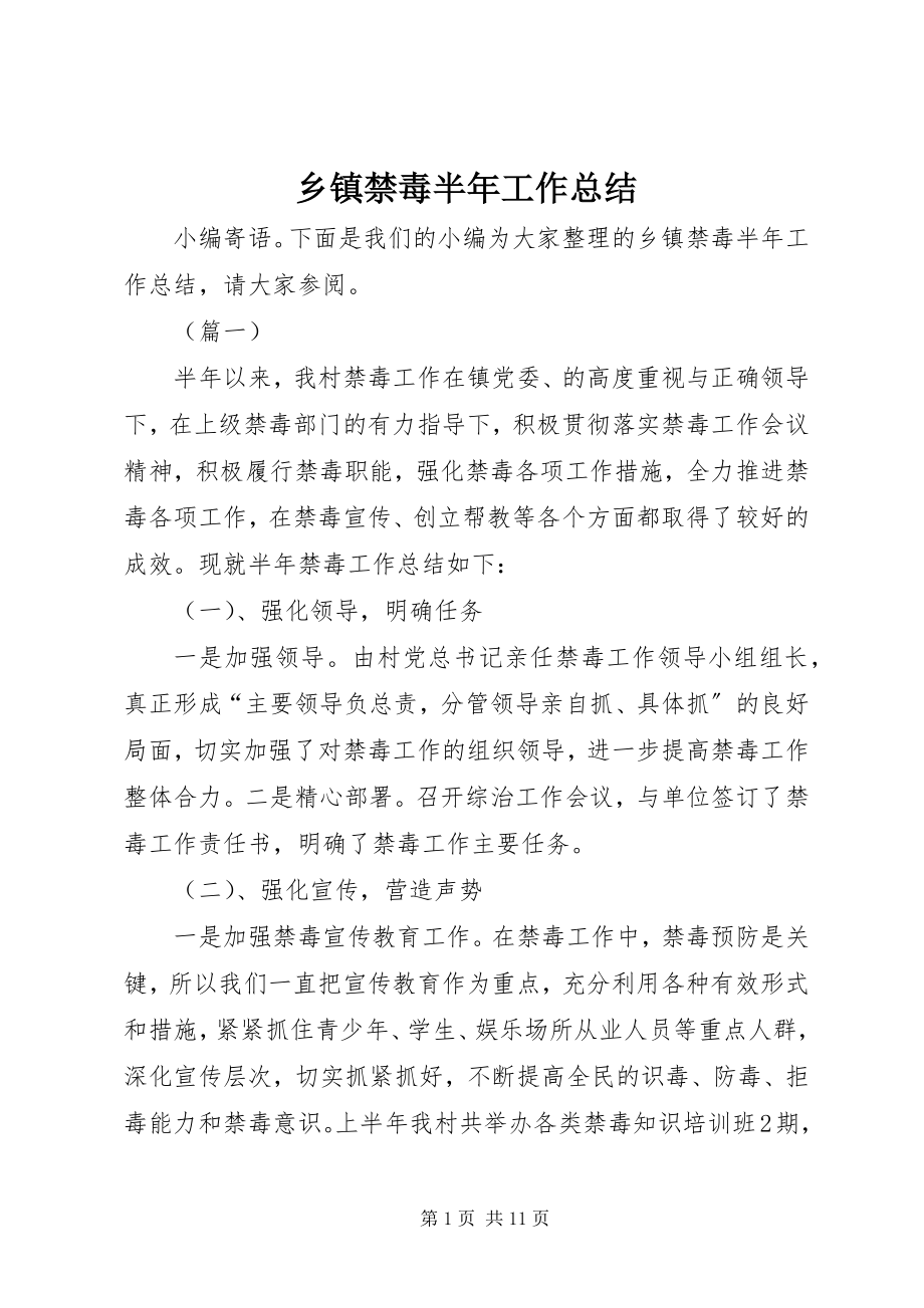 2023年乡镇禁毒半年工作总结.docx_第1页