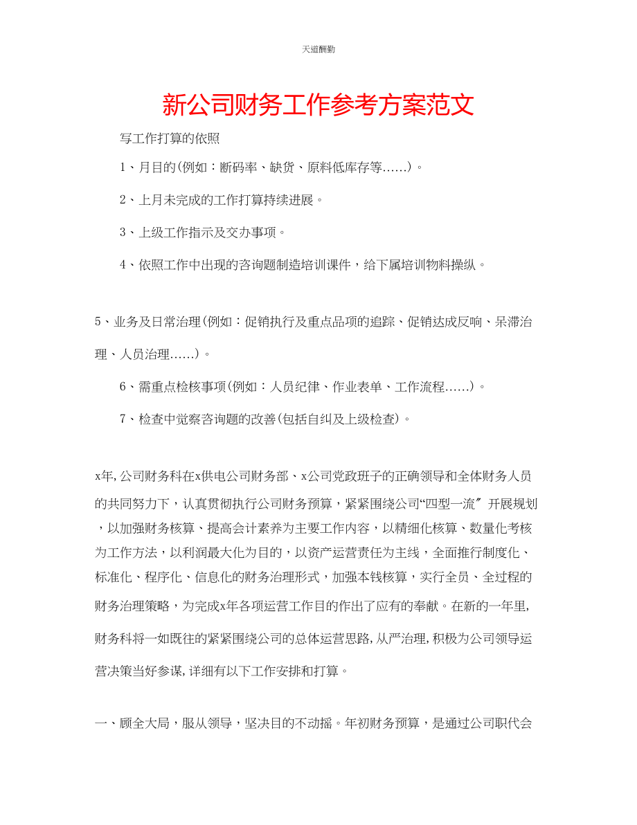 2023年新公司财务工作计划.docx_第1页