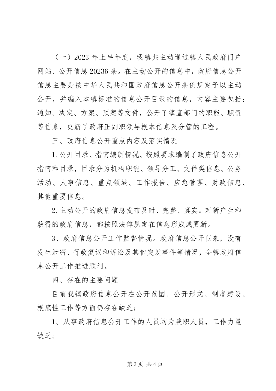 2023年乡镇上半年政务服务政务信息公开工作总结.docx_第3页