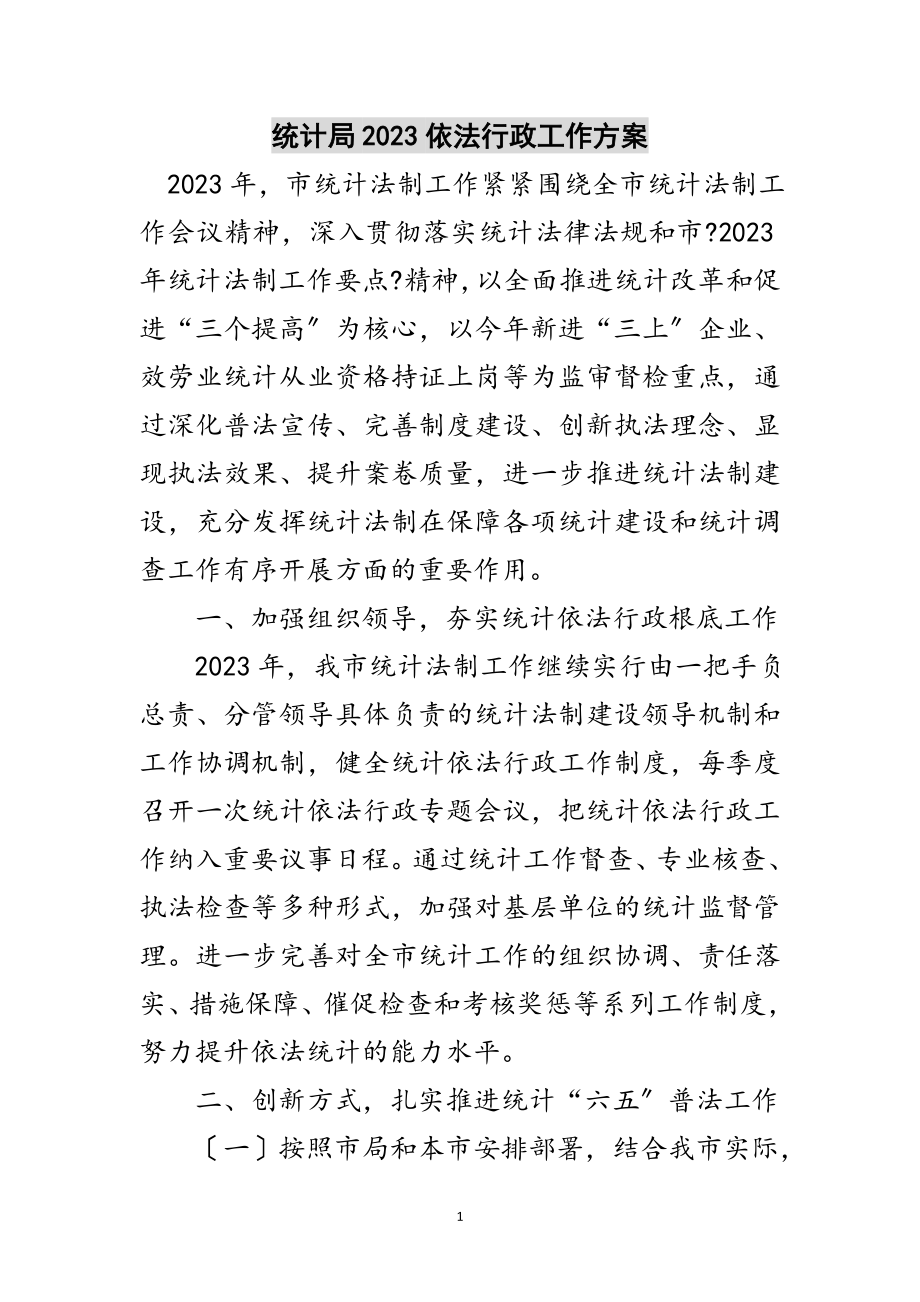 2023年统计局依法行政工作计划范文.doc_第1页