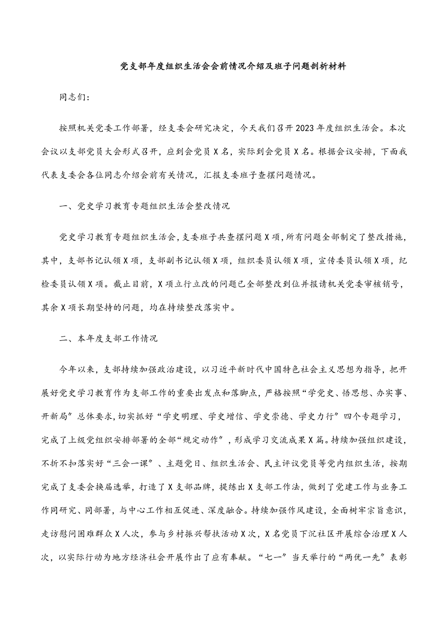 2023年党支部年度组织生活会会前情况介绍及班子问题剖析材料.docx_第1页