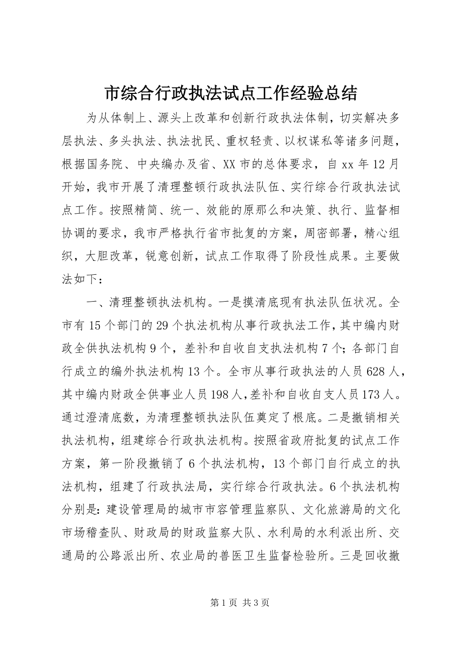 2023年市综合行政执法试点工作经验总结.docx_第1页