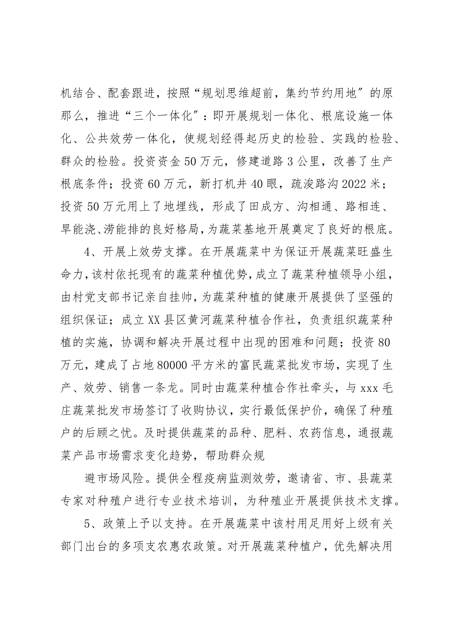 2023年村促进农民增收致富典型材料新编.docx_第2页