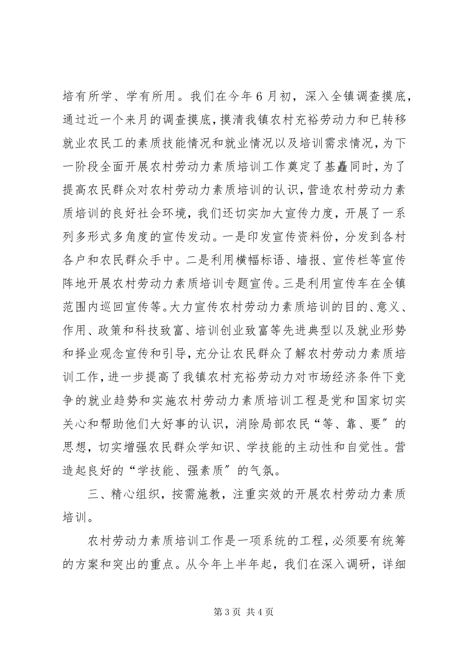 2023年XX镇农村劳动力素质培训工作总结新编.docx_第3页