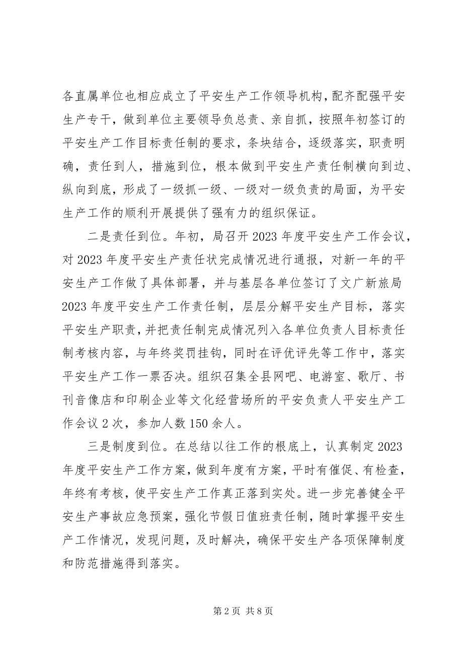 2023年文广局安全生产工作总结及安全工作计划.docx_第2页