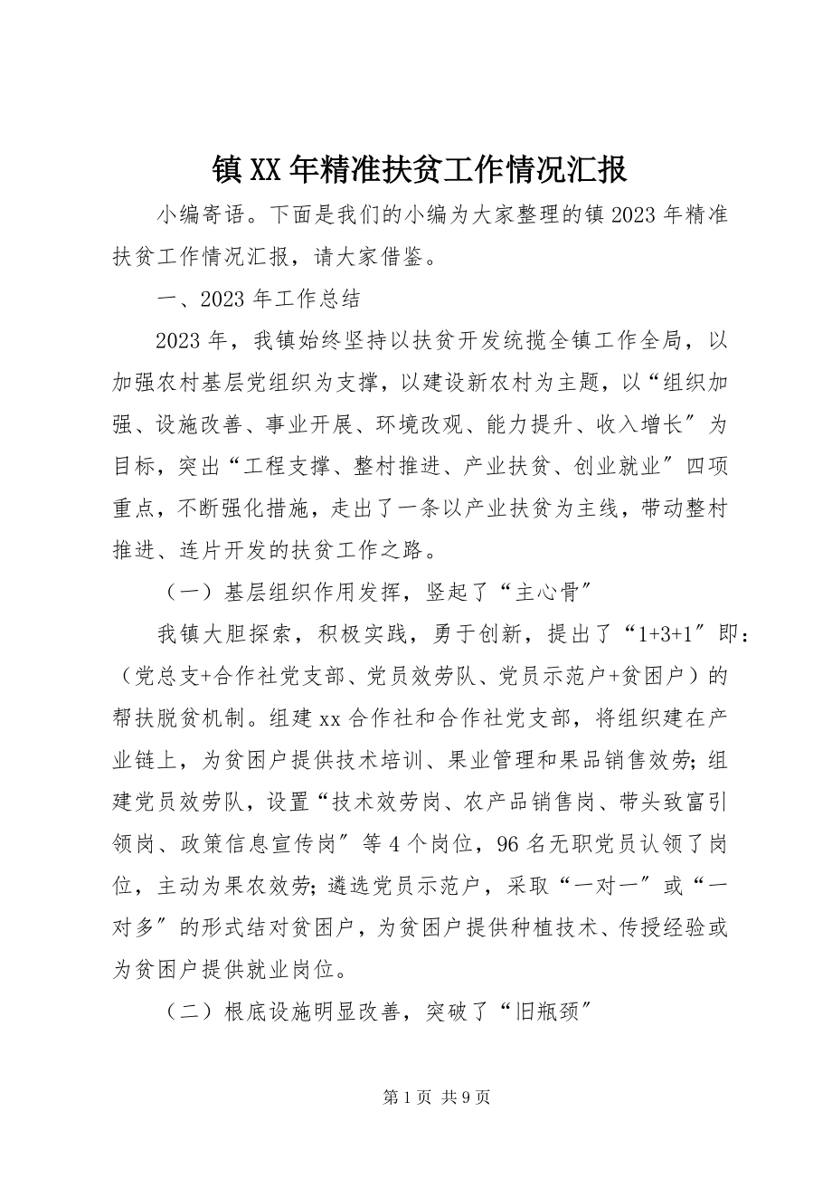 2023年镇精准扶贫工作情况汇报.docx_第1页