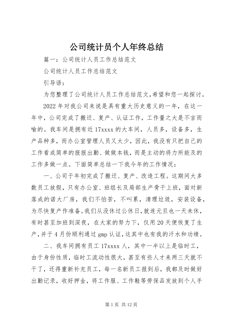 2023年公司统计员个人年终总结.docx_第1页