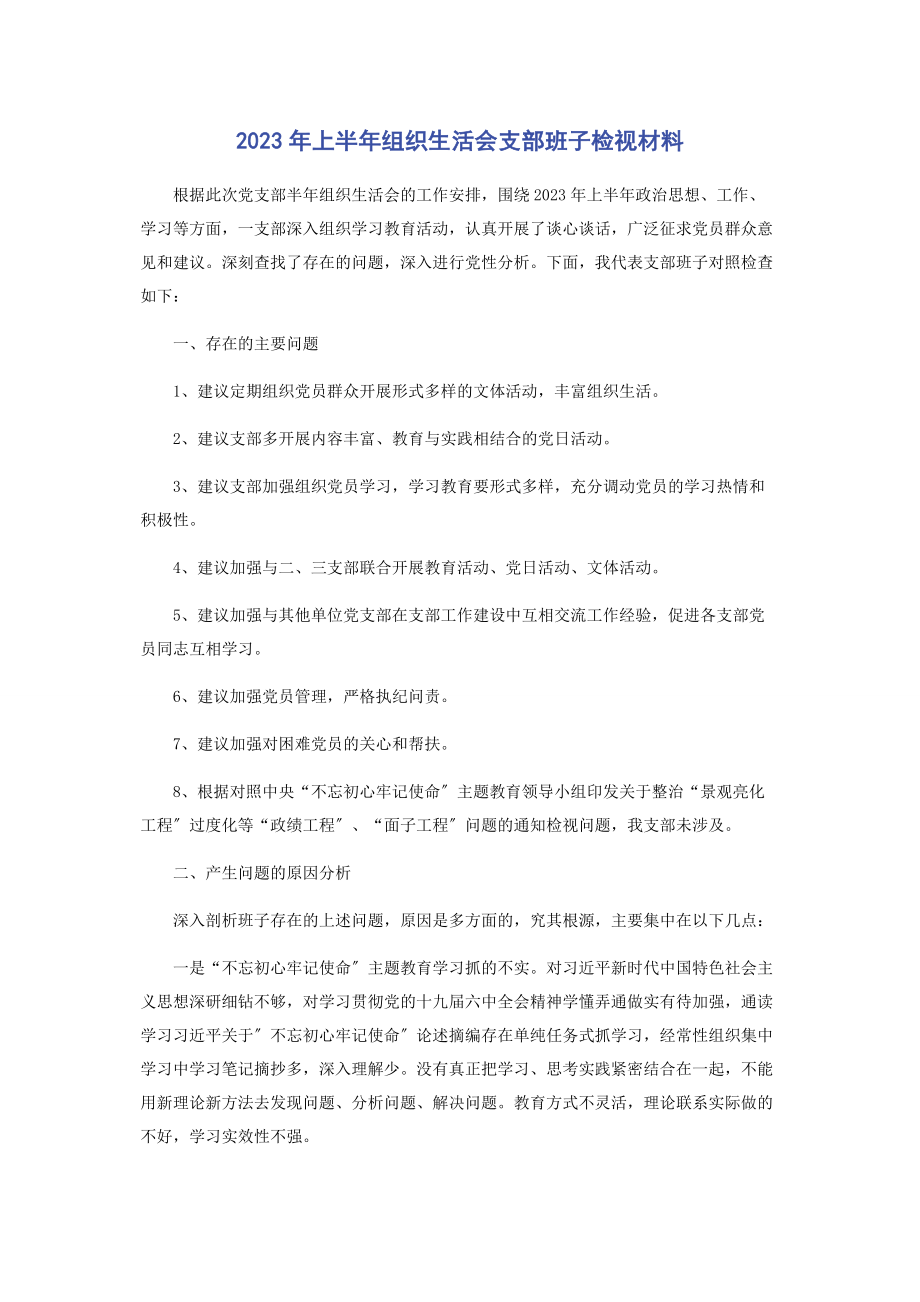 2023年上半组织生活会支部班子检视材料.docx_第1页