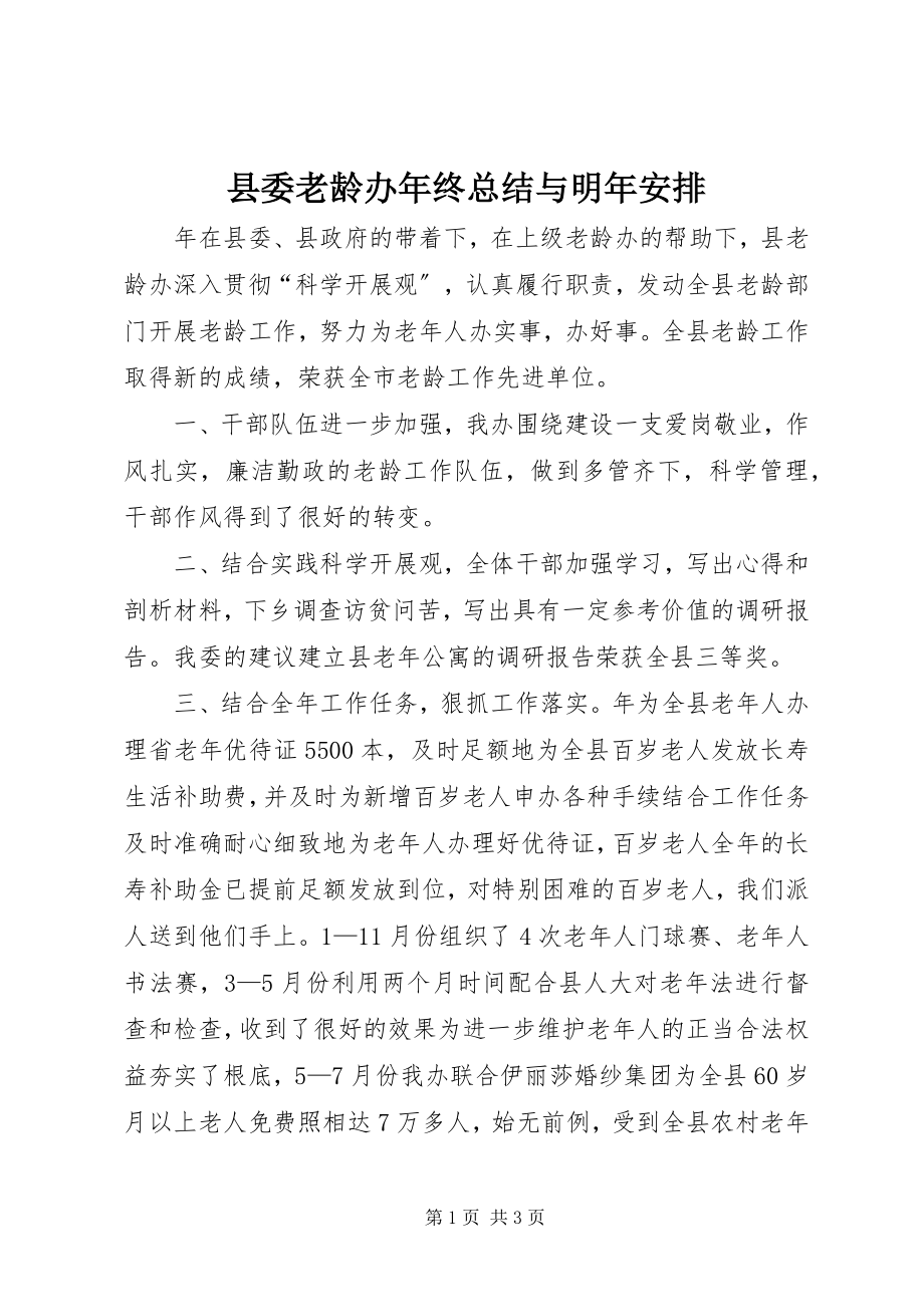 2023年县委老龄办年终总结与明年安排.docx_第1页