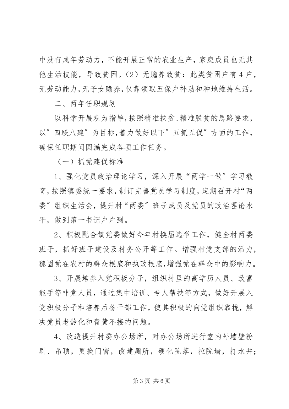 2023年县林业局第一书记工作组任职规划.docx_第3页