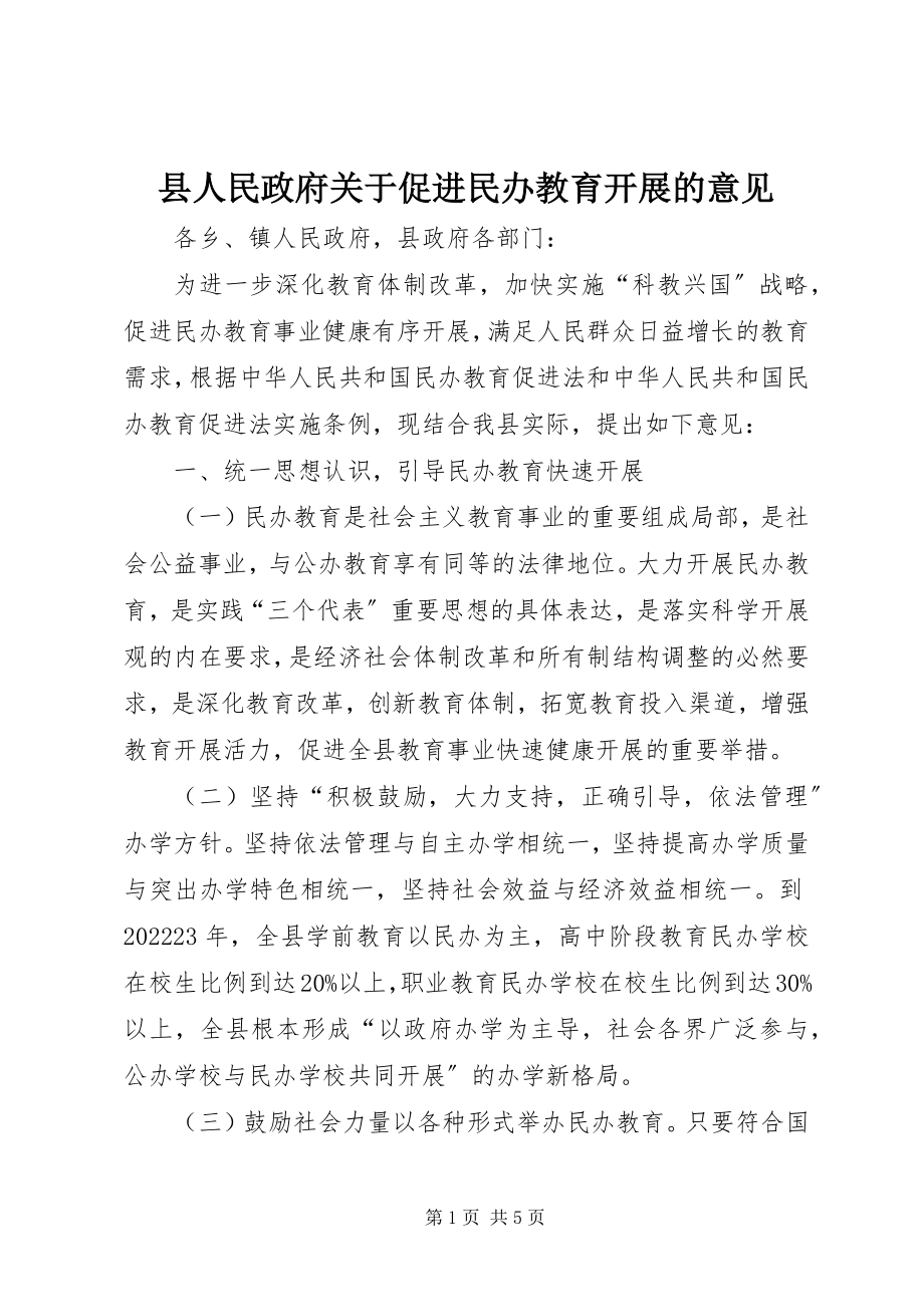 2023年县人民政府关于促进民办教育发展的意见.docx_第1页