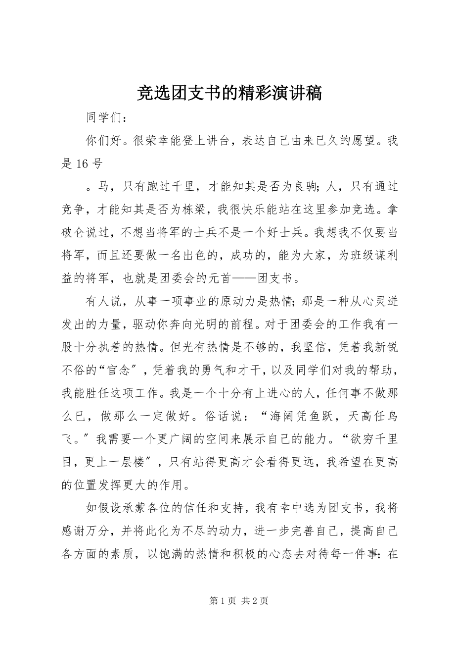 2023年竞选团支书的精彩演讲稿.docx_第1页