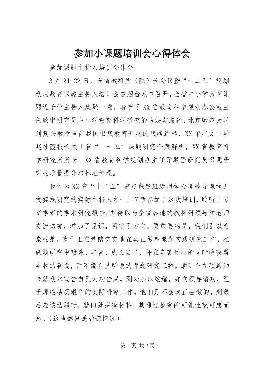 2023年参加小课题培训会心得体会新编.docx_第1页