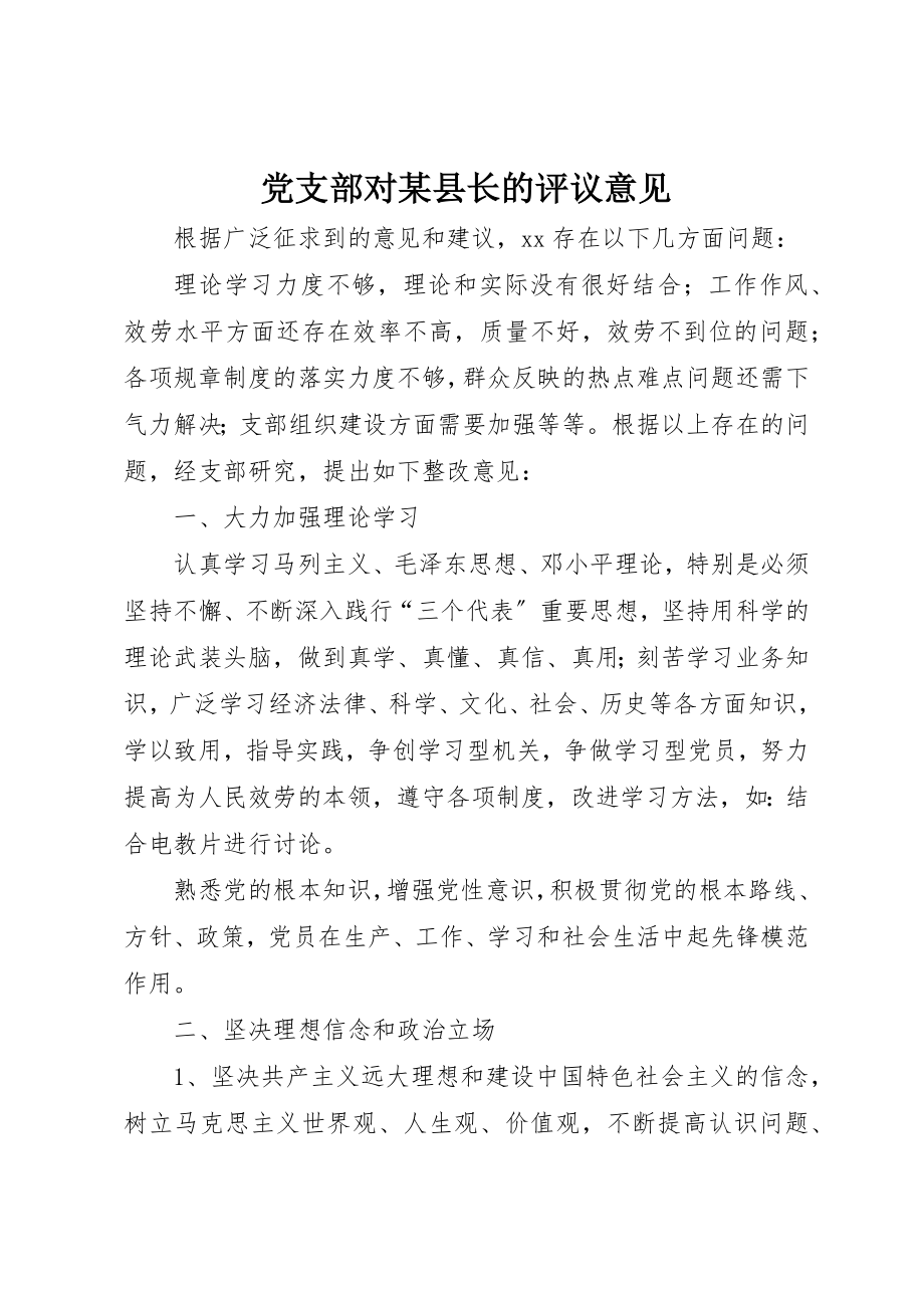 2023年党支部对某县长的评议意见.docx_第1页