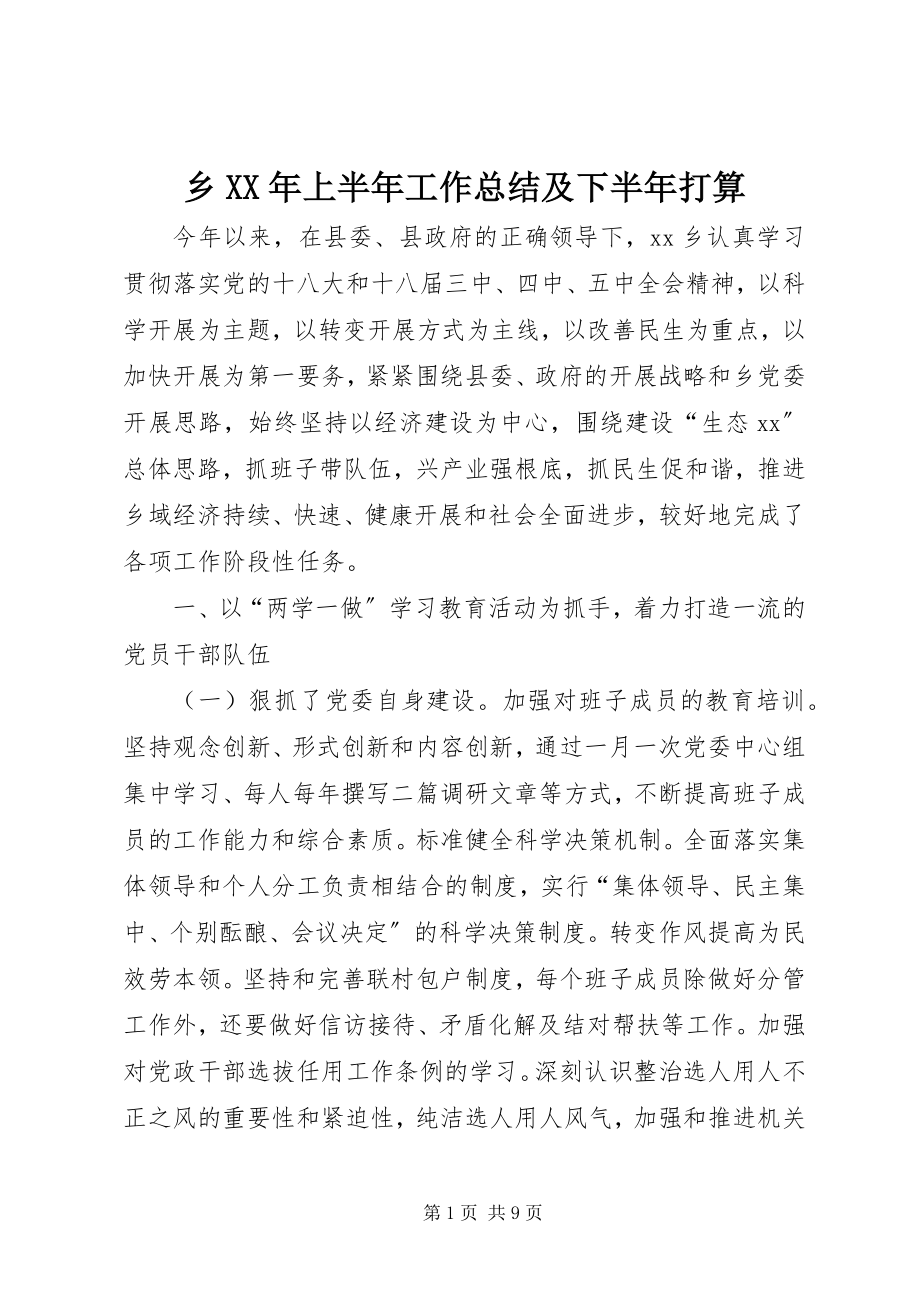 2023年乡上半年工作总结及下半年打算.docx_第1页