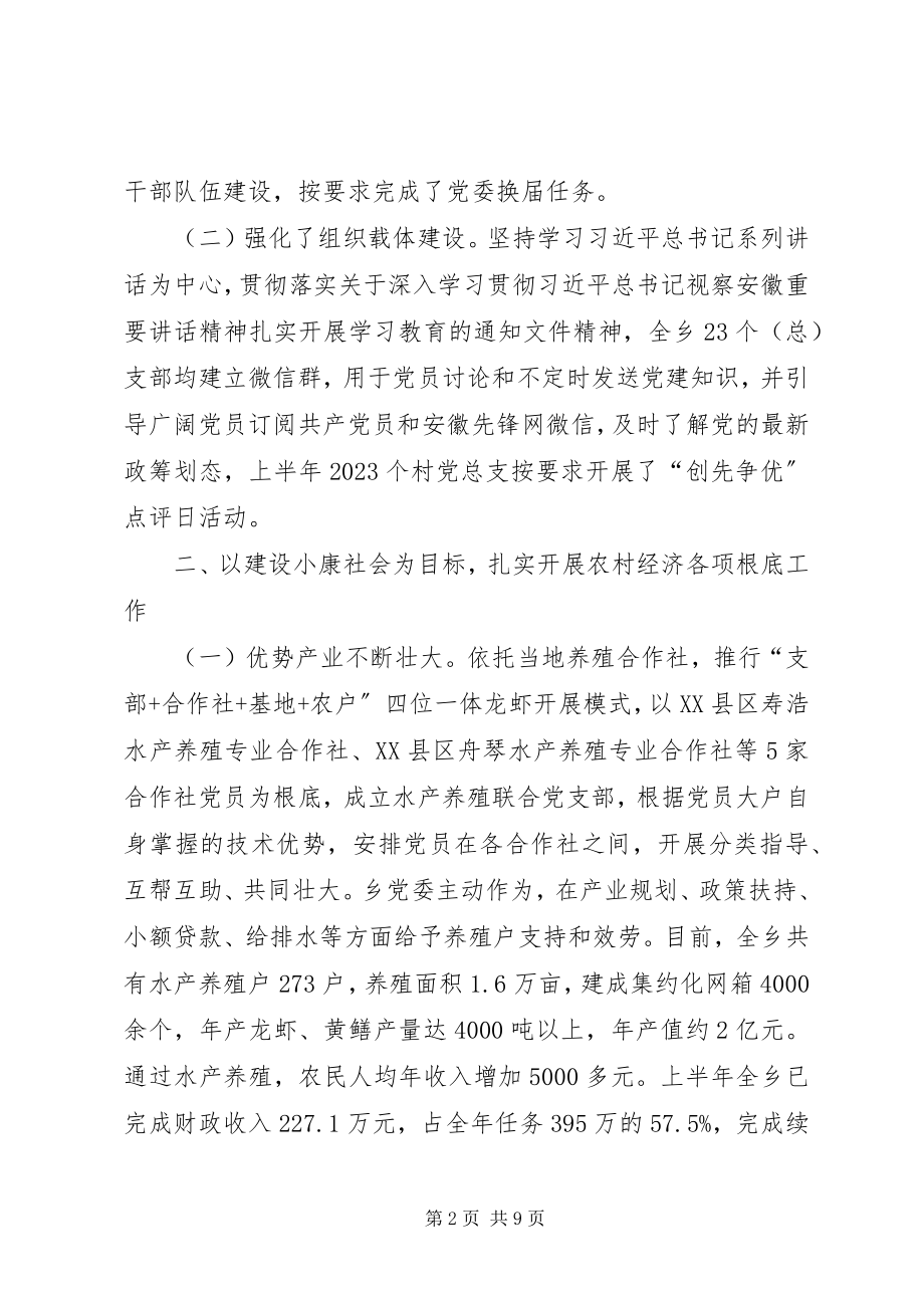 2023年乡上半年工作总结及下半年打算.docx_第2页