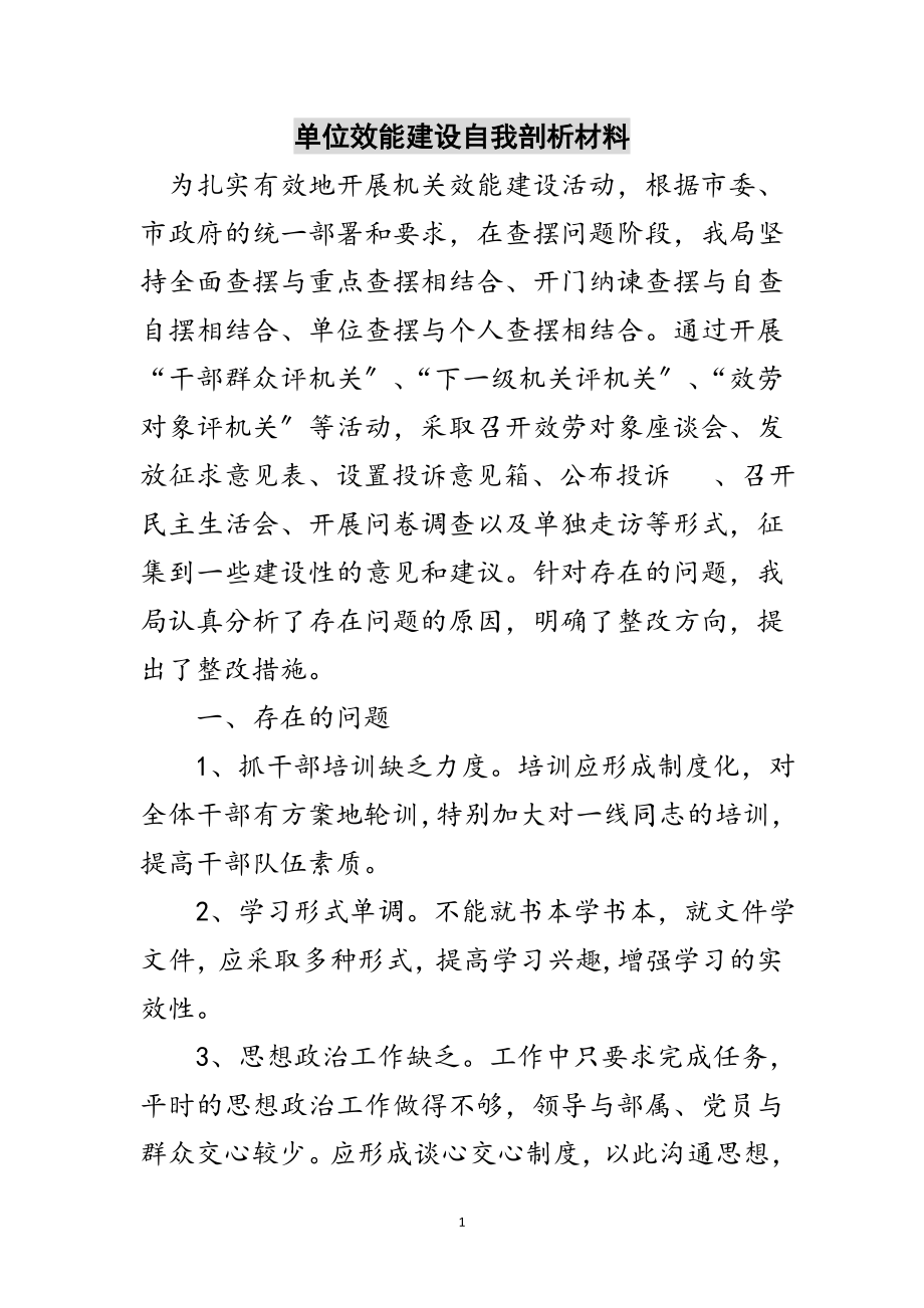 2023年单位效能建设自我剖析材料范文.doc_第1页